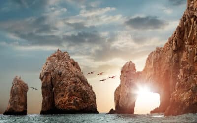 Forest Travel Explores Cabo San Lucas